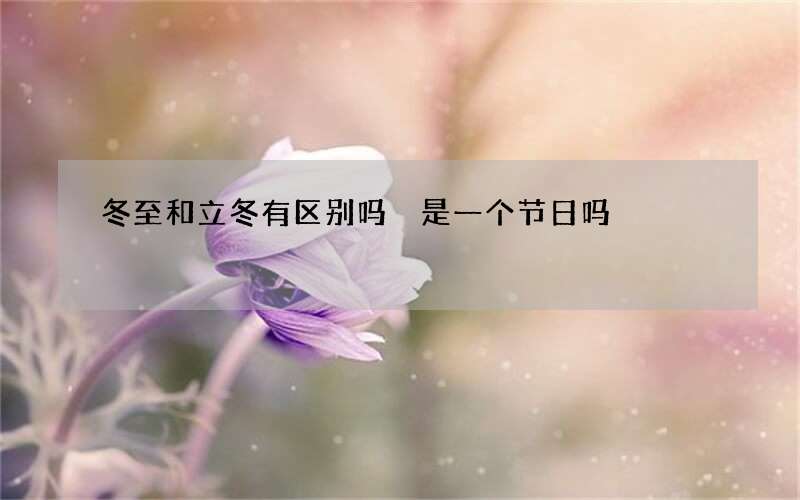 冬至和立冬有区别吗 是一个节日吗